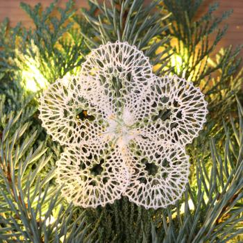 Preview: 519 Klöppelbrief "Christrose" in 3D-Optik zum Aufhängen